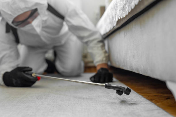 Professional Bed Bug Control technician working in Yonkers, NY