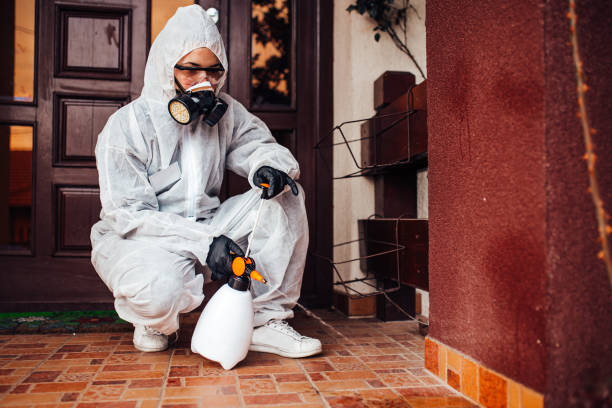 Reliable Bed Bug Control contractor in Yonkers, NY by Nex Pest Control